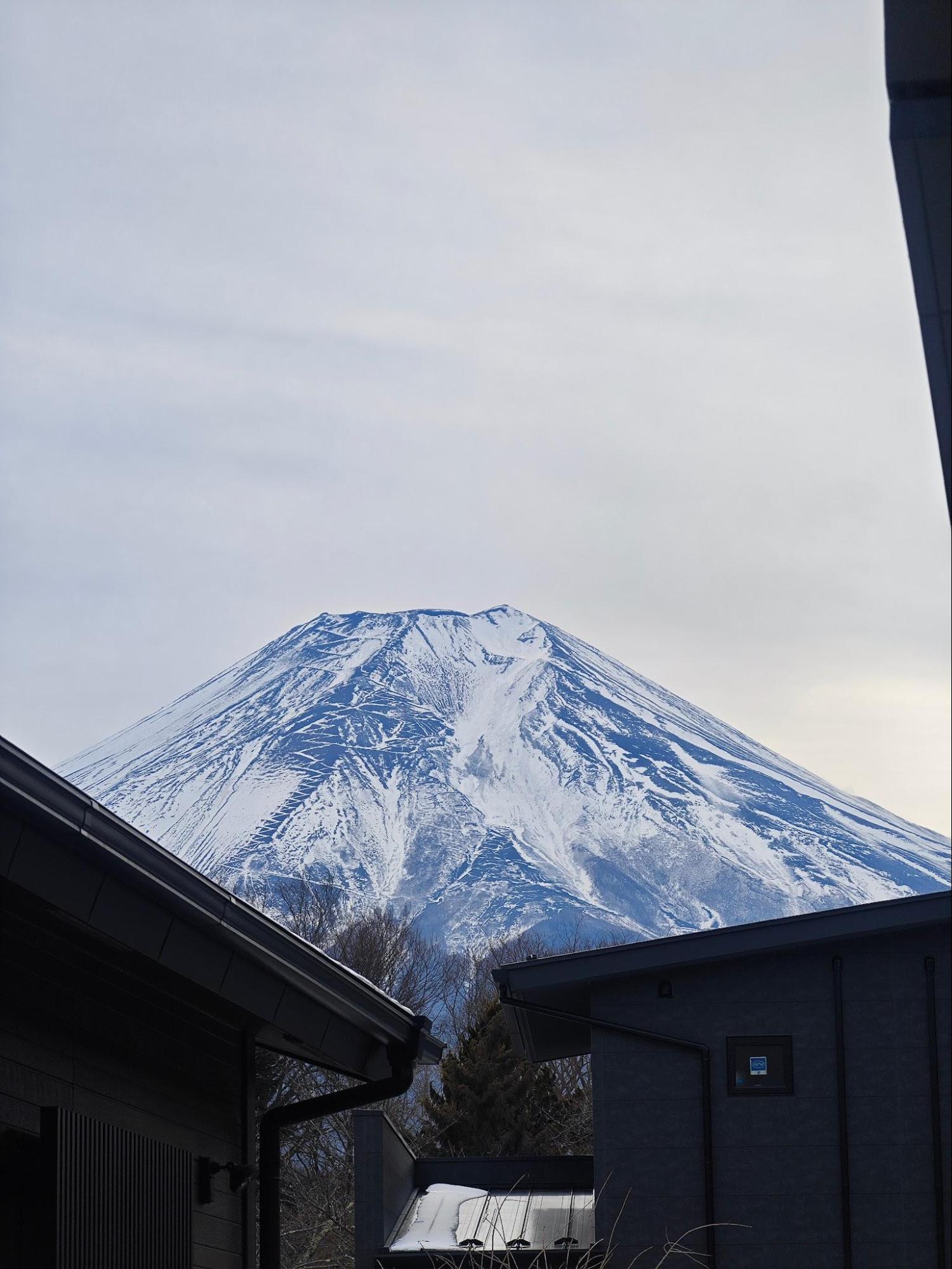 Market research in the Mount Fuji area